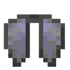 Elytra